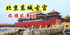 添妣比尻妣舒服中国北京-东城古宫旅游风景区